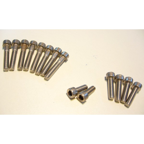 YAMAHA TY 250 monoshock, engine cases screw kit