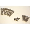 YAMAHA TY 250 monoshock, engine cases screw kit