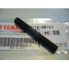 YAMAHA TY 250 twinshock  top cylinder bolt