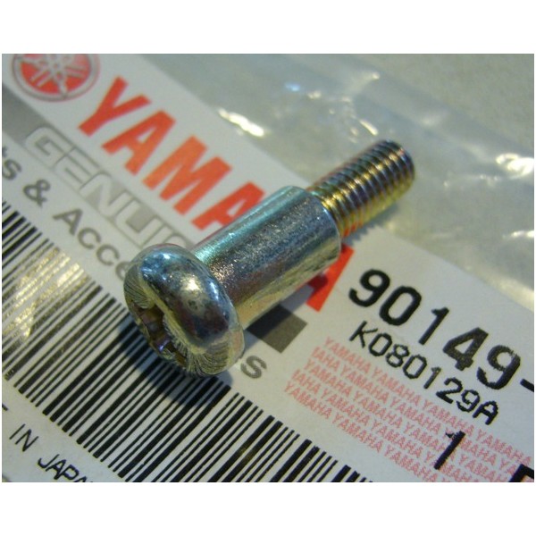 YAMAHA TY 50 & 80  clutch lever screw