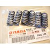 Yamaha TY  250 clutch spring set