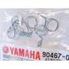 Yamaha and others lot of 5 Fuel clips