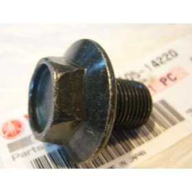Yamaha TY 125 to 250 twin front fork main center bolt