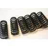 Yamaha ty250 twinshock clutch spring set