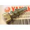 Yamaha TY 250 Monoshock Throttle screw