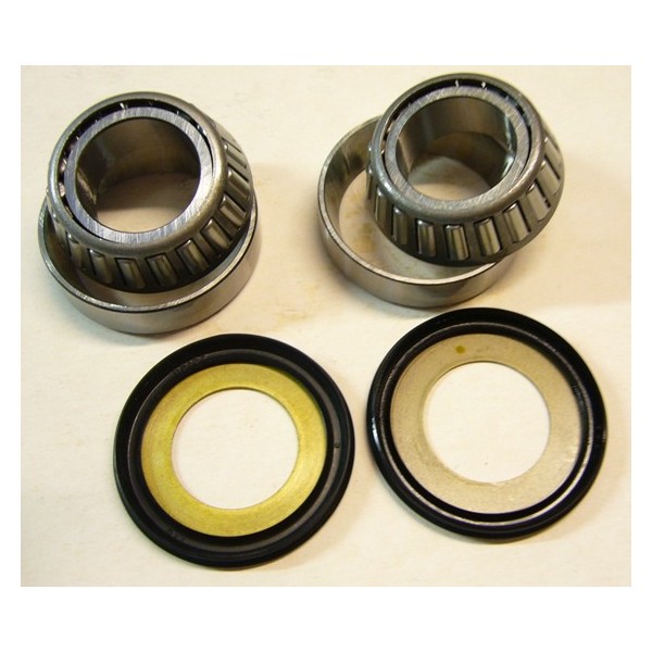 FANTIC Taper roller headbrace bearings kit