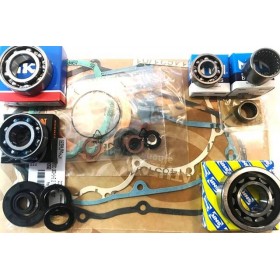 300 (FM403), 301 (FM266) & 303 (FM364) complete engine rebuilt kit