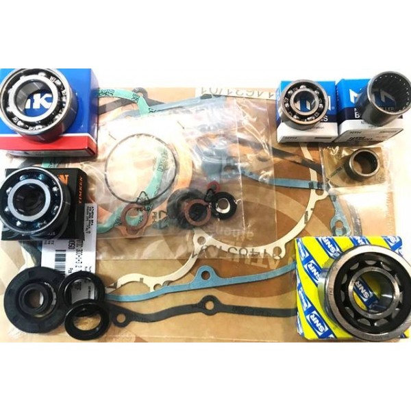 300 (FM403), 301 (FM266) & 303 (FM364) complete engine rebuilt kit