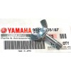 YAMAHA TY 125, 175 & 250 Oil tank mounting wing bolt