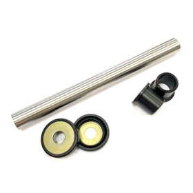 Honda TLR 200/250 Swing Arm Bush Kit