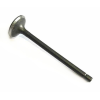 HONDA TLR 250 Valve IN
