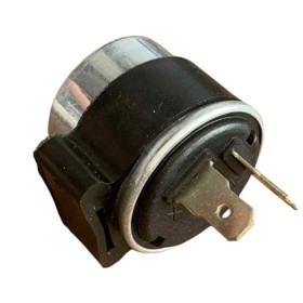 Centrale clignotante universelle 2 broches (6V)