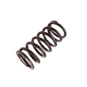 FANTIC  clutch spring (FM Fantic engines)