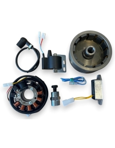 FANTIC 200 (TX350 or FM350 rear kick) electronic ignition
