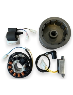 FANTIC  240 Pro (FM450) & 300 Pro (FM403) electronic ignition